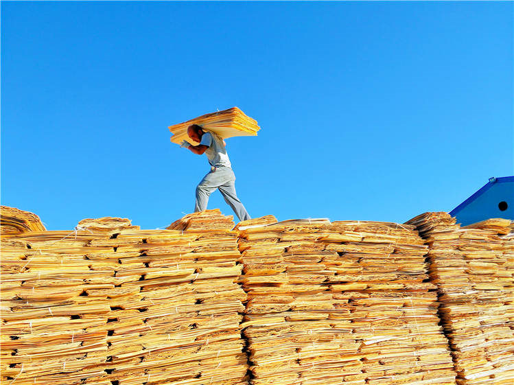 1617090224220659.jpg 2379cb8aab709d93a0d3a56e8157b22.jpg